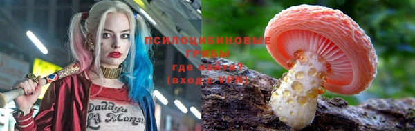 ГАЛЛЮЦИНОГЕННЫЕ ГРИБЫ Армянск