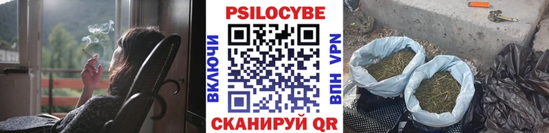 Псилоцибиновые грибы MAGIC MUSHROOMS  Мурманск 
