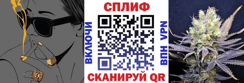 Бошки Шишки планчик закладки Мурманск